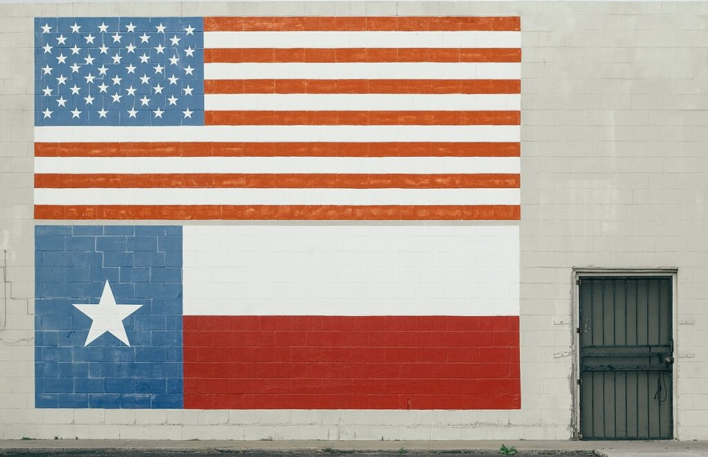 Disabled Parking - Texas flag