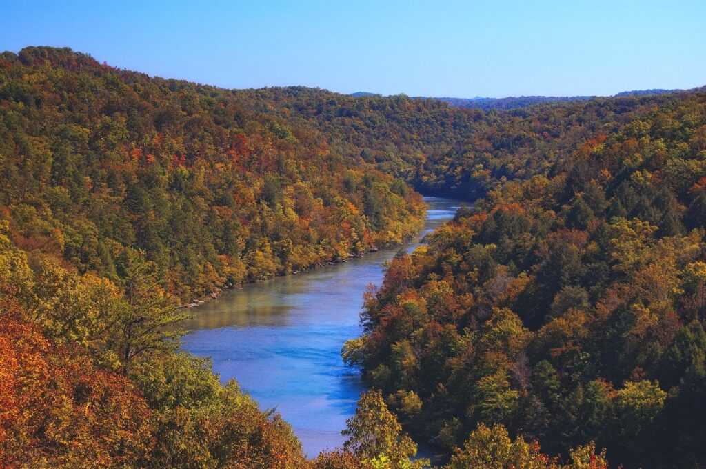 river and forest in kentucky