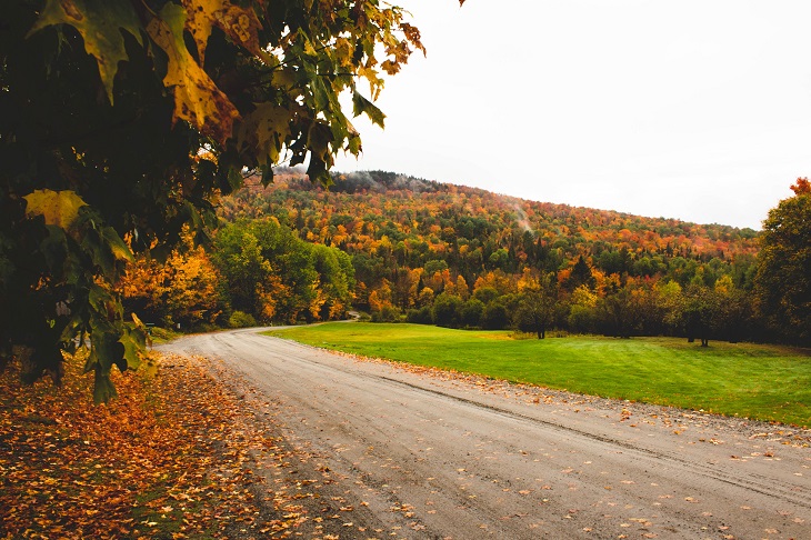 road in vermont